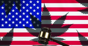 Promises half delivered