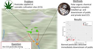 ‘An environmental crime’