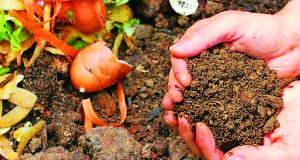 News briefs: March 2, 2023