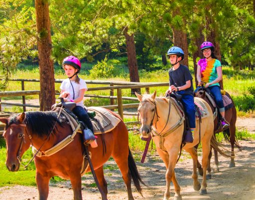 Horseback-Riding Camps