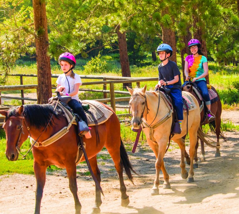 Horseback-Riding Camps