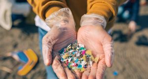 Small businesses, big impacts