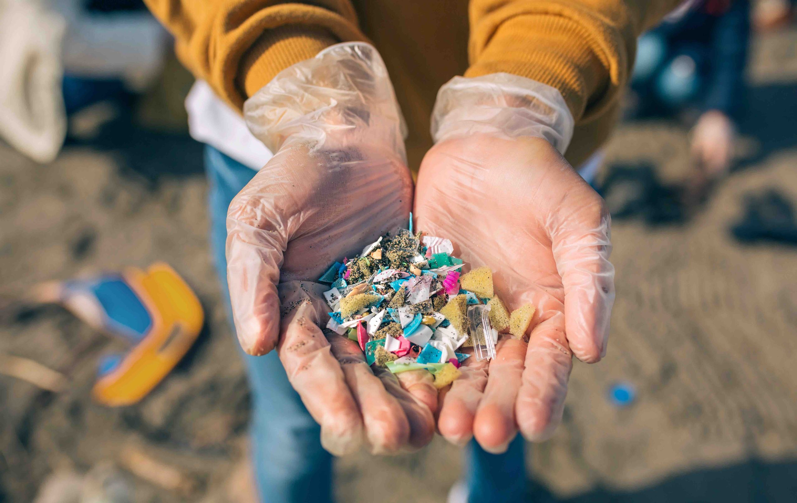 Small businesses, big impacts