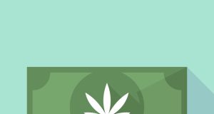 The cannabis downturn