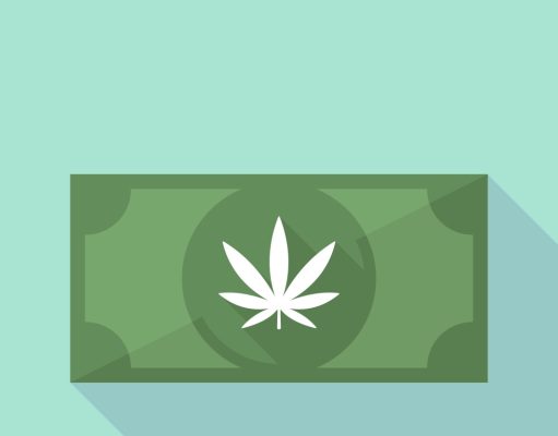 The cannabis downturn