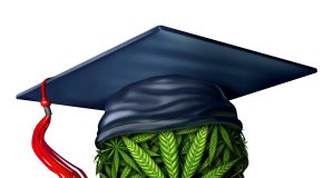 Sin tax scholarships