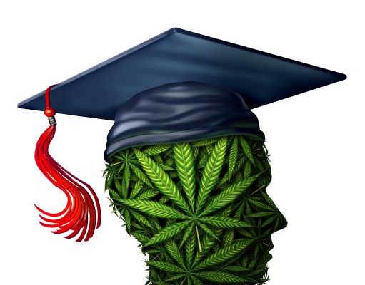 Sin tax scholarships