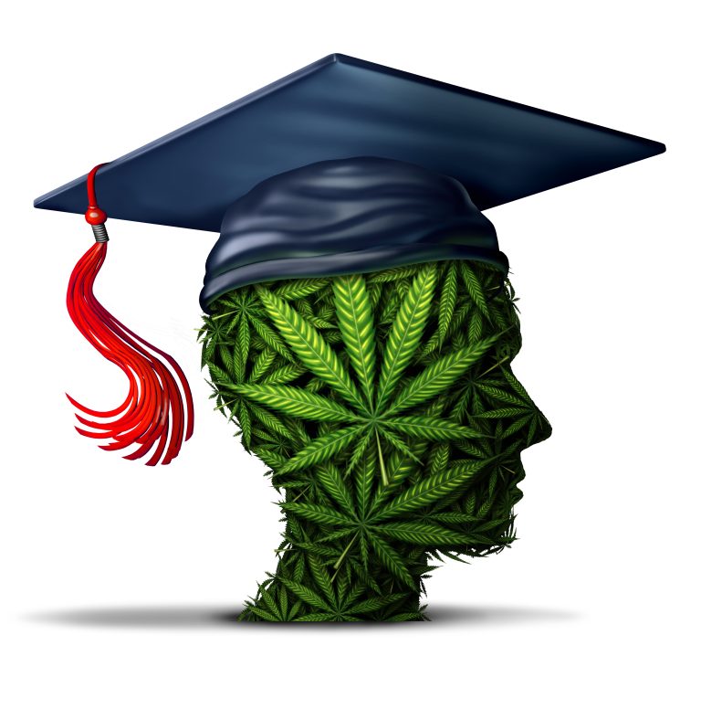 Sin tax scholarships