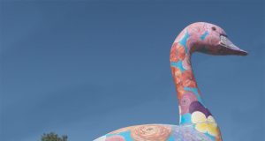 Best of Boulder 2023 — Home & Garden