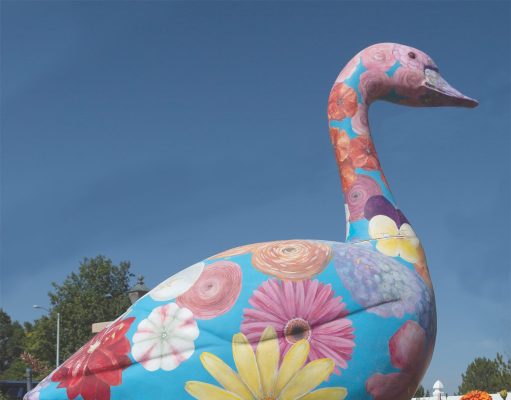 Best of Boulder 2023 — Home & Garden
