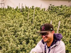 Best of Boulder 2023 — Cannabis