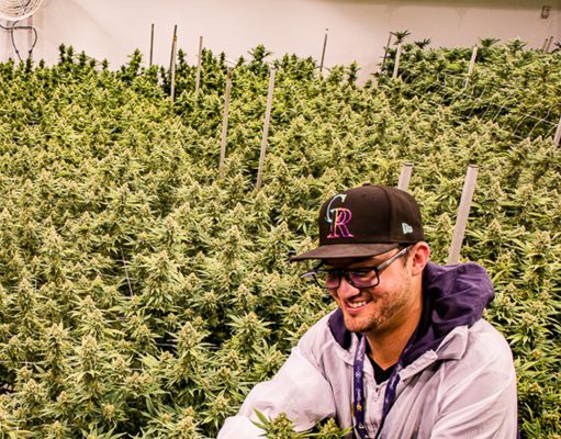 Best of Boulder 2023 — Cannabis