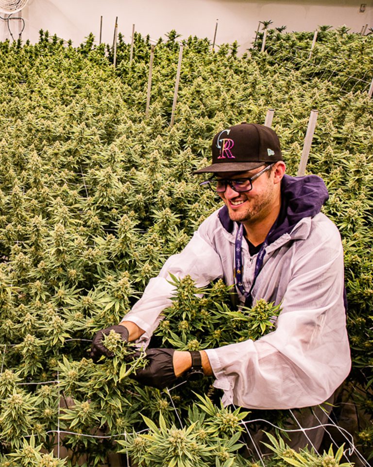 Best of Boulder 2023 — Cannabis