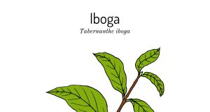 The addiction therapy drug