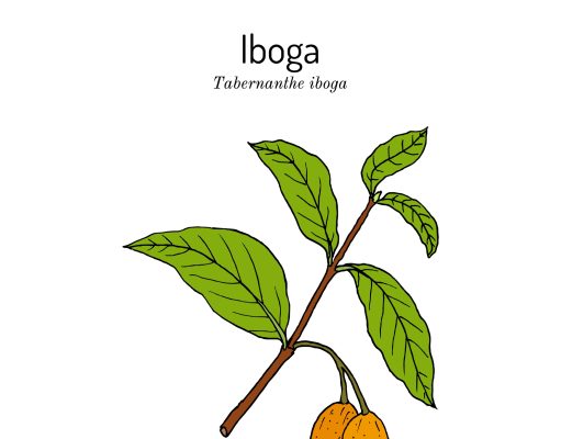 The addiction therapy drug