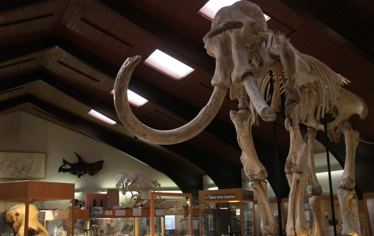 Old bones can be a small town’s movie stars