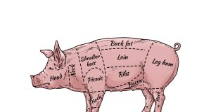 For the love of bacon