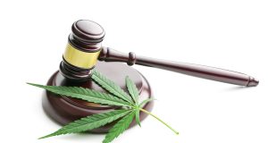 Cannabis in the High Court Supreme Court weighs on definition of marijuana