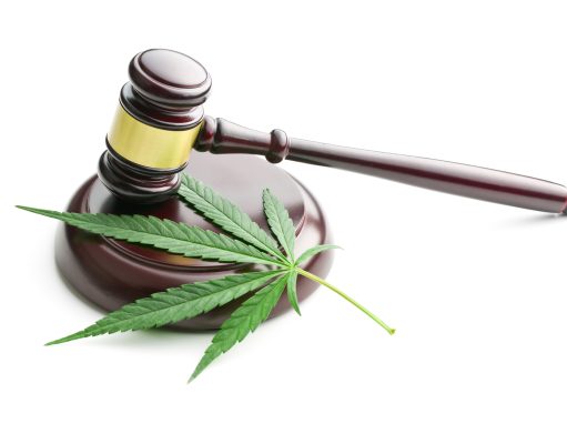Laying down the law Supreme Court weighs on definition of marijuana