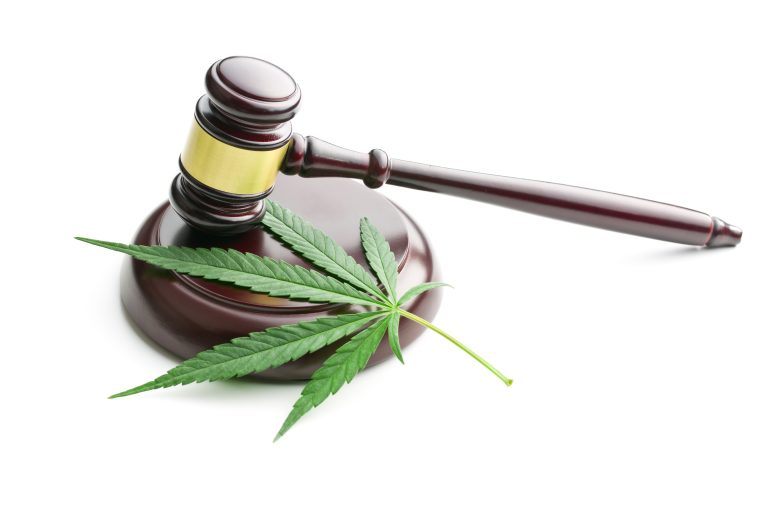 Cannabis in the High Court