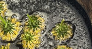 The dandelion challenge