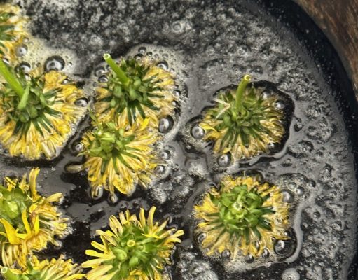 The dandelion challenge