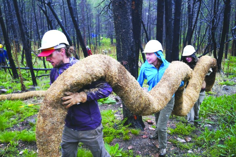 Restoring the land can feel like a lot of fun