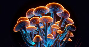 ‘The biggest week’