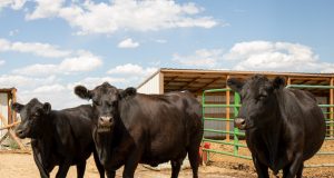 ‘Circular logic’