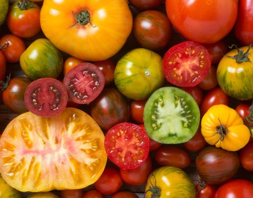 The tomato speaks