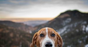 Dear Whole Foods Daddy: Aug. 3, 2023