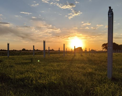 Jack’s Solar Garden: Keep on the sunny side