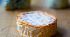 The squeak that roared