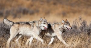 Now you know: Oct. 19, 2023