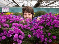 Best of Boulder East County 2023 — Home & Garden