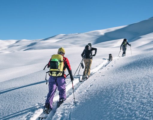 Out and back 11302023-Webcover