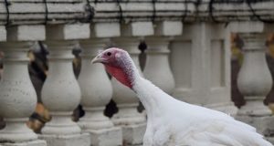 Now you know: Nov. 21, 2023