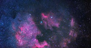 Astrology: Nov. 23, 2023