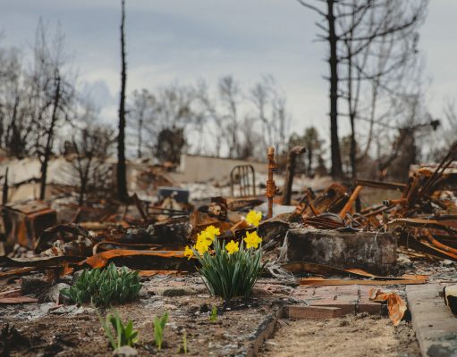 Marshall Fire photos