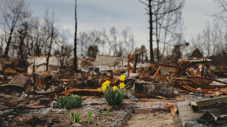 After the fire